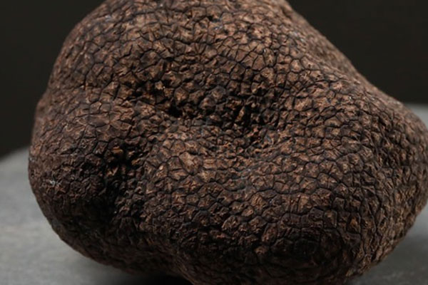 松露個(gè)頭越大越貴嗎