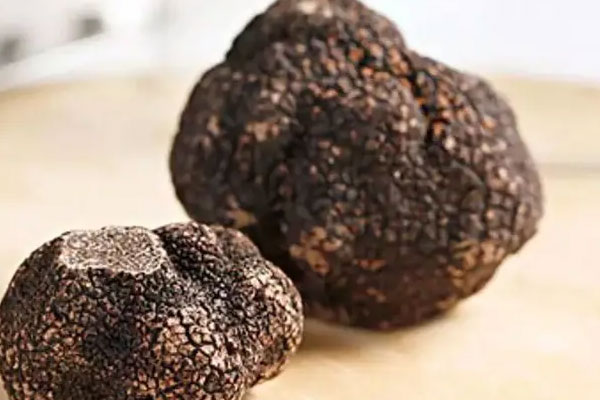 松露能改善睡眠質(zhì)量嗎