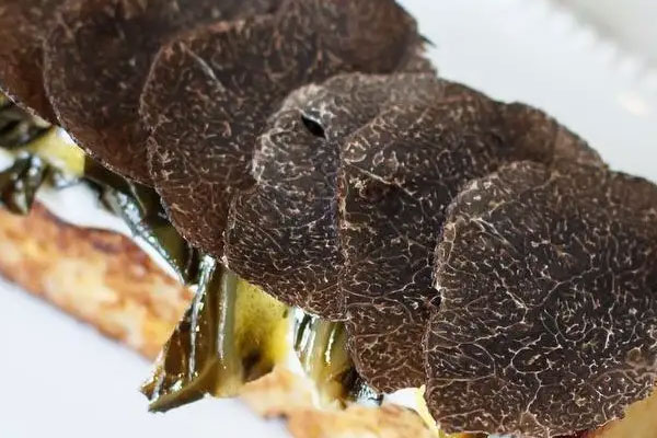 吃松露會腸胃不好嗎