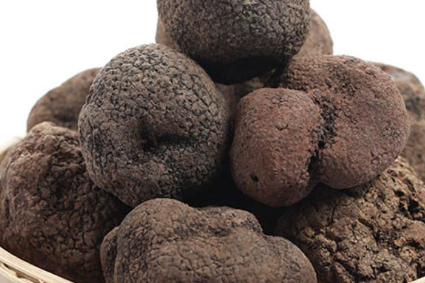 黑松露泡水怎么泡 黑松露泡水怎么泡