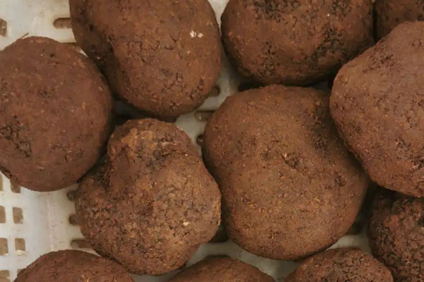 黑松露泡水第二天還能喝嗎，黑松露能不能泡白酒