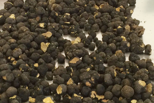 黑松露泡酒多久能喝，泡過(guò)酒的松露還有用嗎