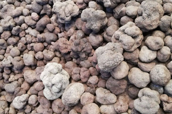 松露含有酒精嗎 松露含有酒精嗎