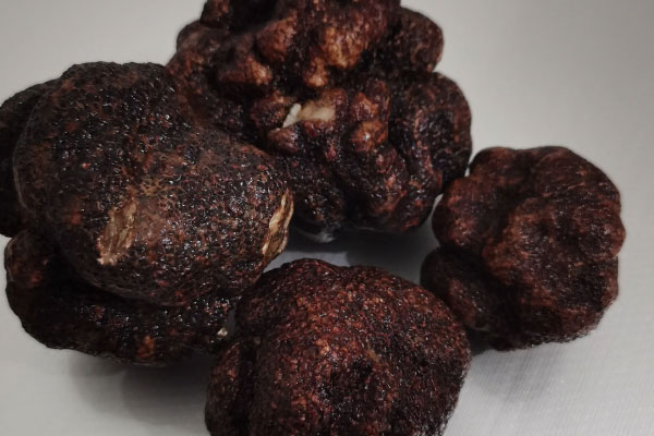 松露泡水喝的注意事項(xiàng) 松露泡水喝的注意事項(xiàng)