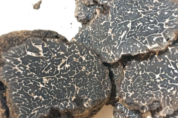 松露泡過(guò)酒后還能吃嗎，黑松露為什么是軟的