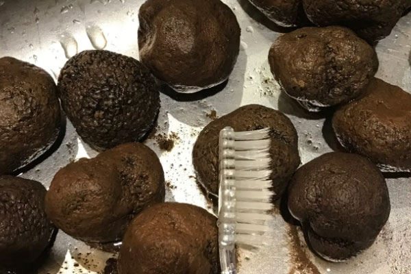 松露為什么是軟的 松露為什么是軟的