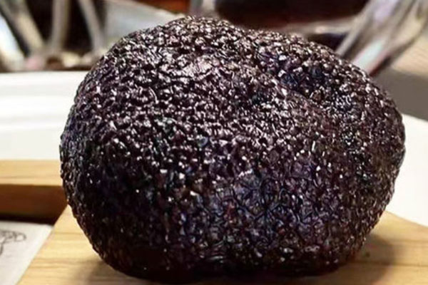 什么叫黑松露“巫婆圈” 什么叫黑松露“巫婆圈”