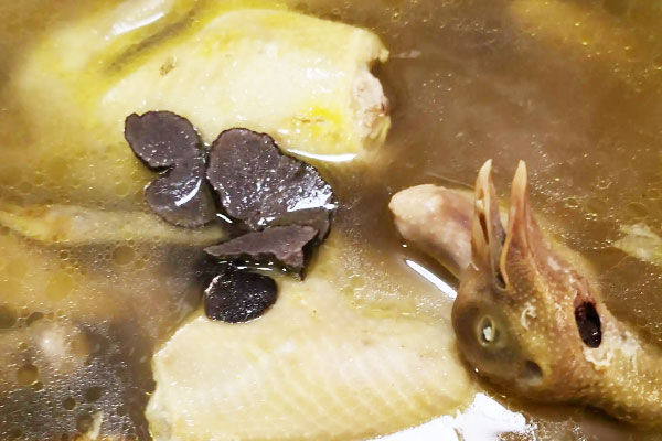 松露雞湯可以放幾天 松露雞湯可以放幾天