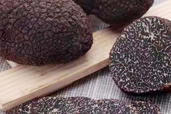 什么菌味道與黑松露相似，松露的葉子長(zhǎng)什么樣子