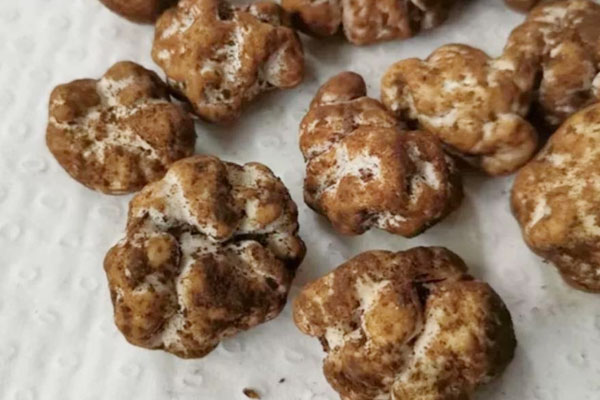 松露有多少品種 松露有多少品種