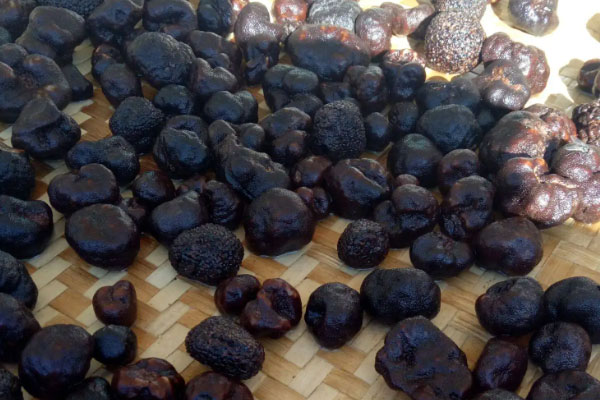 冷凍松露解凍后還能再凍嗎 冷凍松露解凍后還能再凍嗎