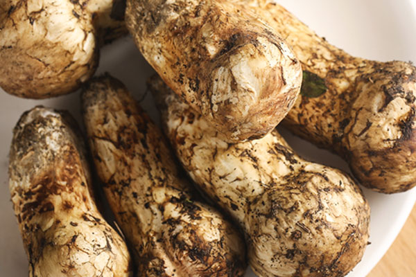 松茸為什么難聞 松茸為什么難聞