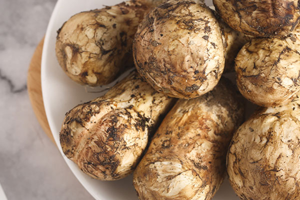 松茸味道臭嗎 松茸味道臭嗎