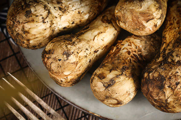 油炸松茸會破壞松茸的營養(yǎng)嗎，吃不完的松茸怎么存放