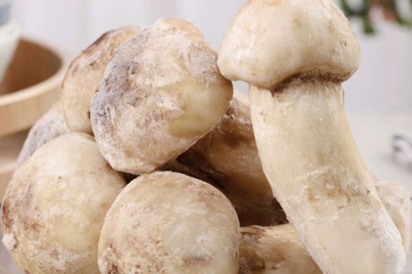 什么是冰凍松茸 什么是冰凍松茸