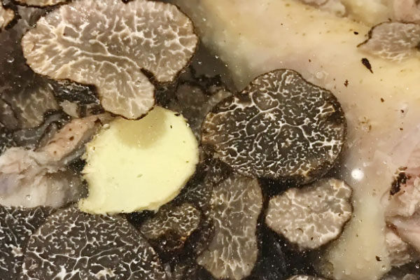 體質(zhì)虛弱可以吃松露嗎，抵抗力低下可以吃松露嗎