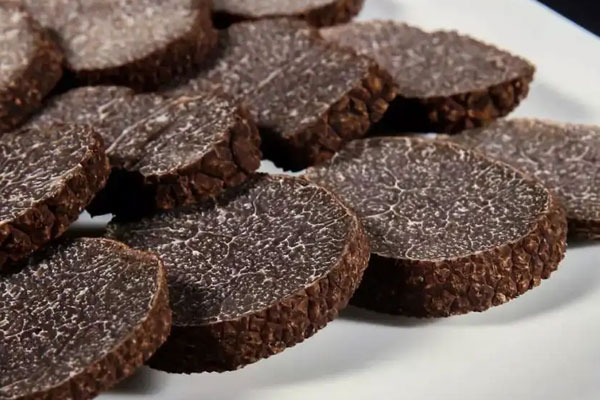 松露在海拔多少米能長(zhǎng)，松露生長(zhǎng)在我國(guó)哪個(gè)省