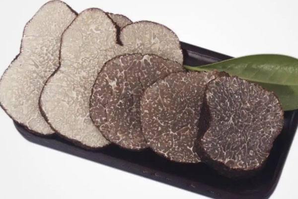 松露在我國哪些地方生長 松露在我國哪些地方生長