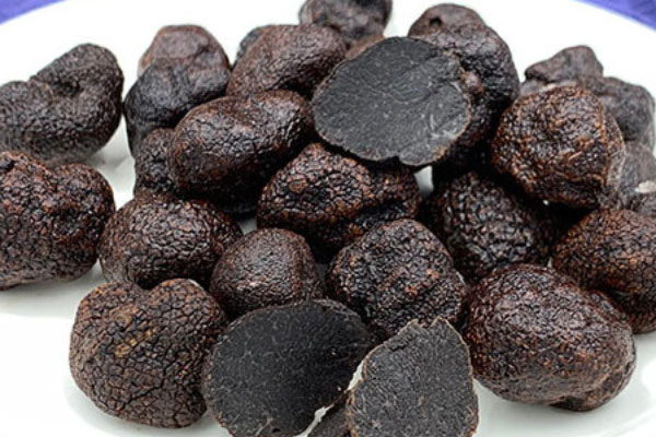 松露能用烤箱烤嗎 松露能用烤箱烤嗎