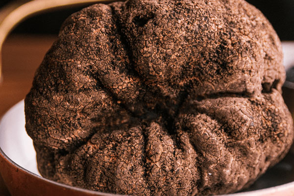 松露一整年都有果實(shí)嗎，松露在什么季節(jié)成熟