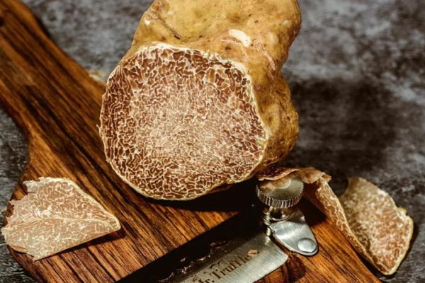 白松露生吃的注意事項 白松露生吃的注意事項