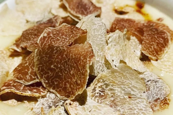 白松露的價值 白松露的價值