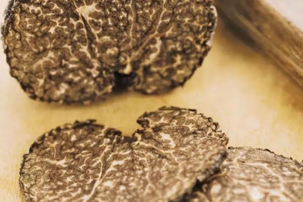 黑松露有哪些傳說 黑松露有哪些傳說