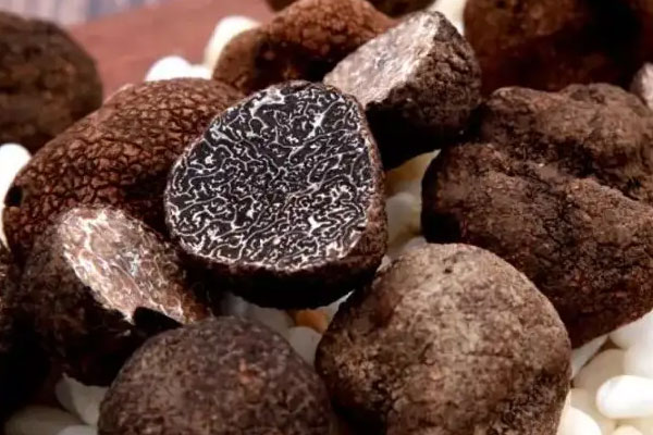 沒有成熟的黑松露質(zhì)地比較軟嗎 沒有成熟的黑松露質(zhì)地比較軟嗎