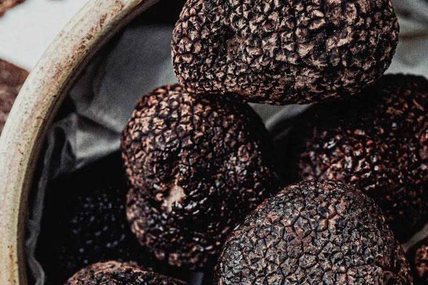 黑松露對(duì)癌癥有效嗎，黑松露有降糖作用嗎