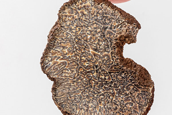 干品黑松露需要避光保存嗎 干品黑松露需要避光保存嗎