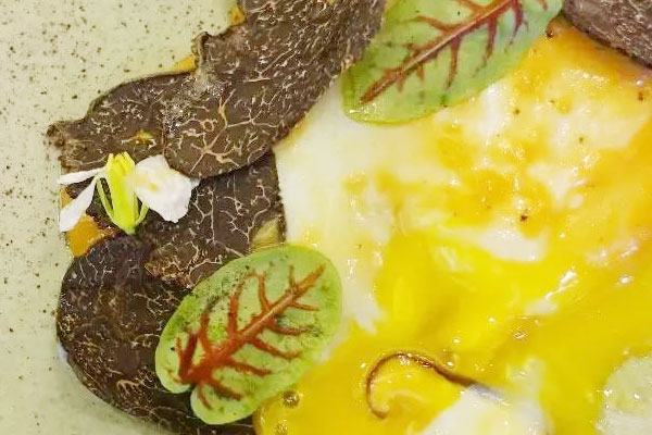 黑松露生吃好嗎 黑松露生吃好嗎