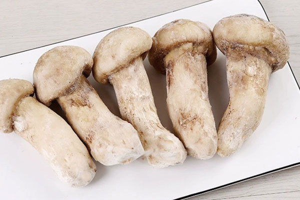 松茸軟了還可以吃嗎 松茸軟了還可以吃嗎