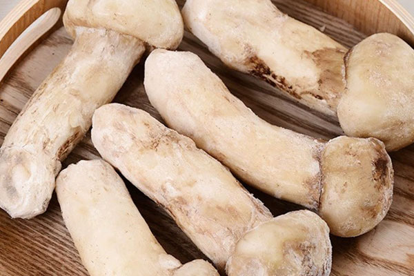 頑固性皮膚病人群可以吃松茸嗎 頑固性皮膚病人群可以吃松茸嗎