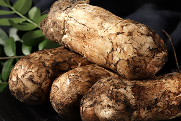 松茸放了4天還能吃嗎，松茸放了一星期還能吃嗎