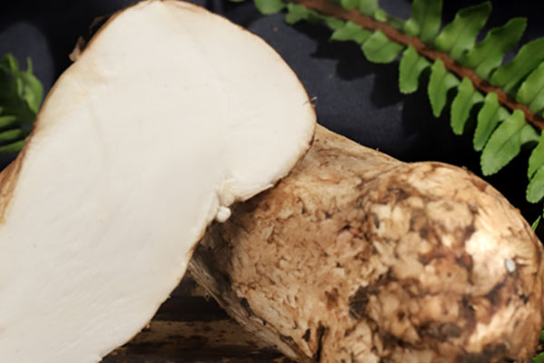 新鮮松茸的三個規(guī)格 新鮮松茸的三個規(guī)格