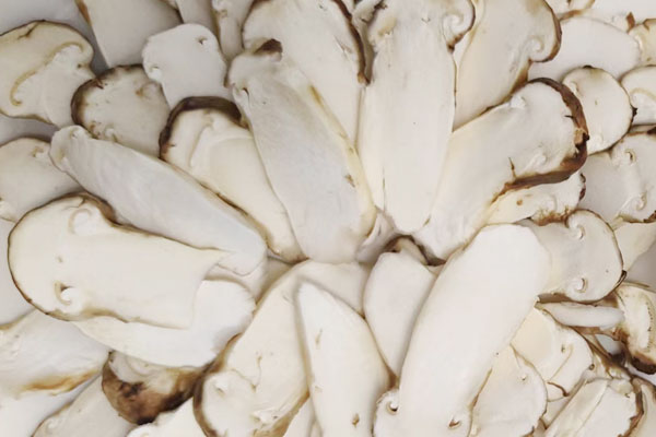 松茸如何保存到冬天吃