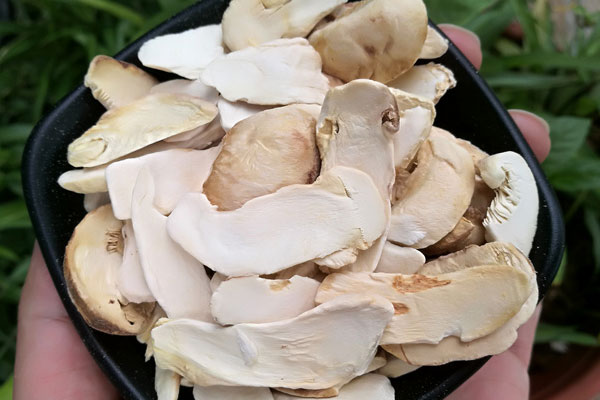 凍干松茸營(yíng)養(yǎng)價(jià)值高嗎 凍干松茸營(yíng)養(yǎng)價(jià)值高嗎