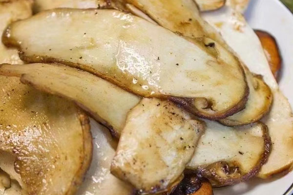 松茸可以平衡腸道生態(tài)環(huán)境嗎