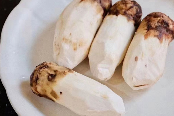 新鮮松茸怎么運輸保存 新鮮松茸怎么運輸保存