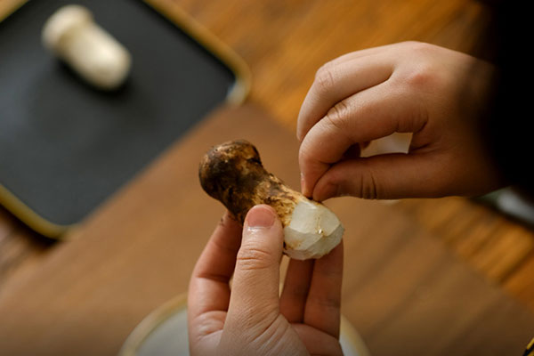 松茸為什么可以抗腫瘤 松茸為什么可以抗腫瘤