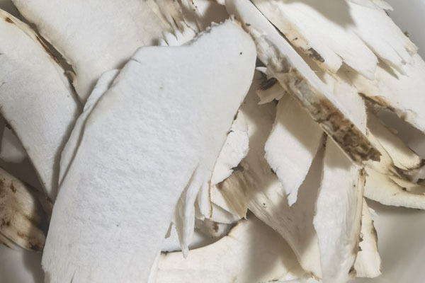 松茸不能水洗怎么清洗，松茸變質(zhì)了是什么味道