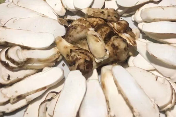 有痛風(fēng)的人可以吃松茸嗎，有風(fēng)濕可以吃松茸嗎