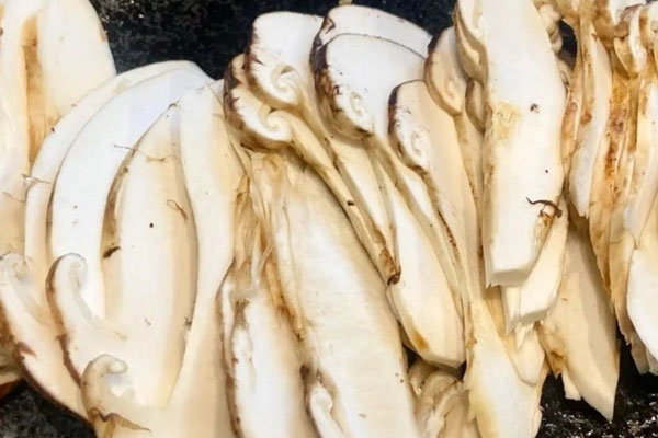 鼻咽癌能吃松茸嗎，有炎癥能吃松茸嗎