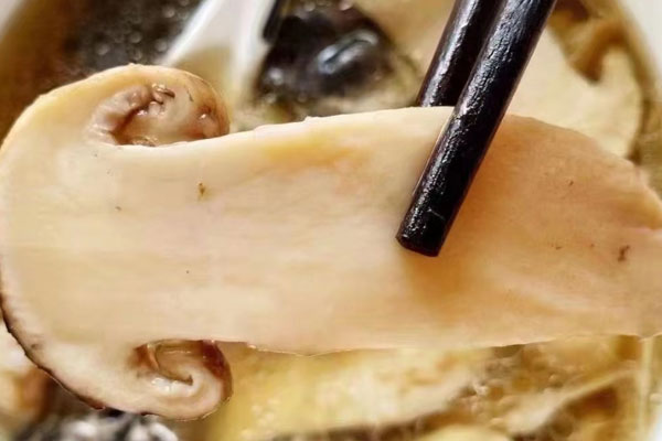 松茸板栗龍眼烏雞湯的食用禁忌 松茸板栗龍眼烏雞湯的食用禁忌