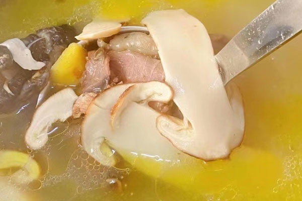 冰凍松茸燉雞怎么做好 冰凍松茸燉雞怎么做好