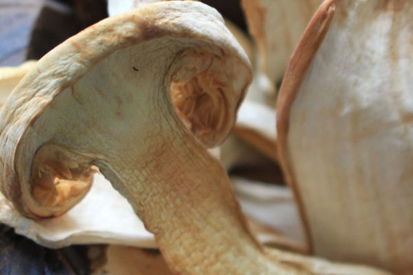 干松茸能用開水泡嗎 干松茸能用開水泡嗎