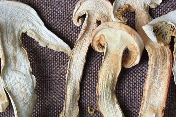 松茸干需要泡發(fā)嗎，干松茸用冷水要泡多久