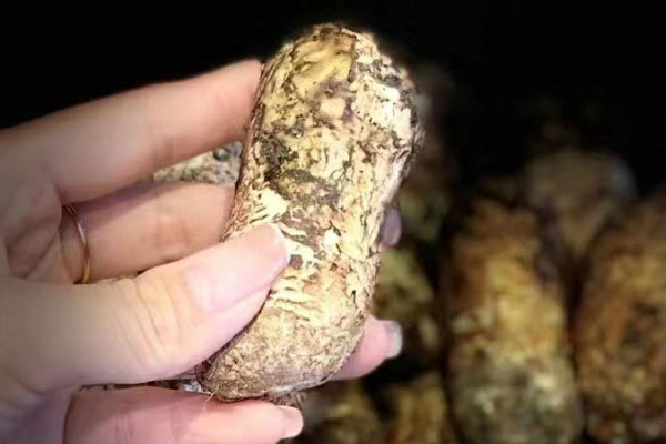 松茸泡酒還能加些什么