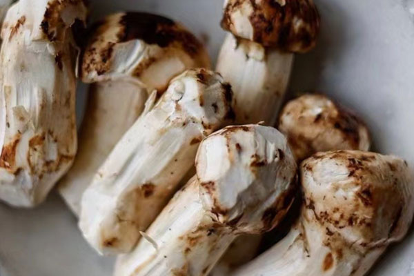 松茸酒的配方 松茸酒的配方