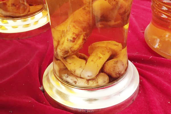 泡過(guò)酒的松茸還能吃嗎，松茸人參泡酒能儲(chǔ)存多久